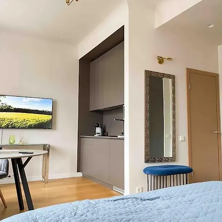 Modern Center Apartment